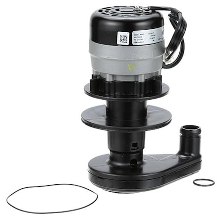 Manitowoc Water Pump - 230V 2007389